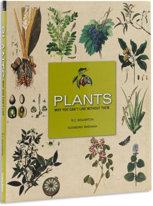 Plants: Why You Can't Live With Out Them
